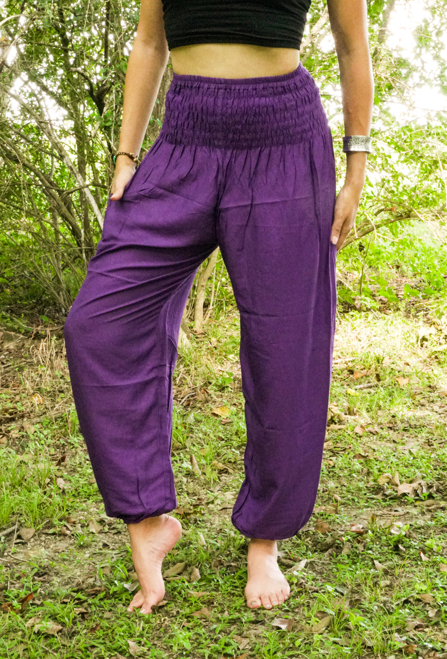 Solid Purple Harem Pants