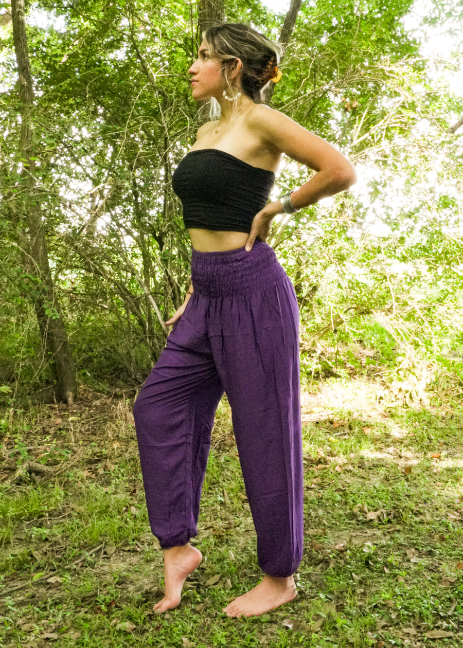 Solid Purple Harem Pants