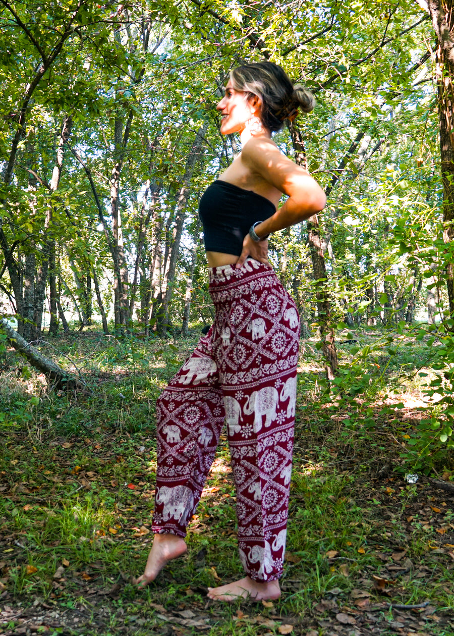 Burgundy Lovely Elephant Harem Pants