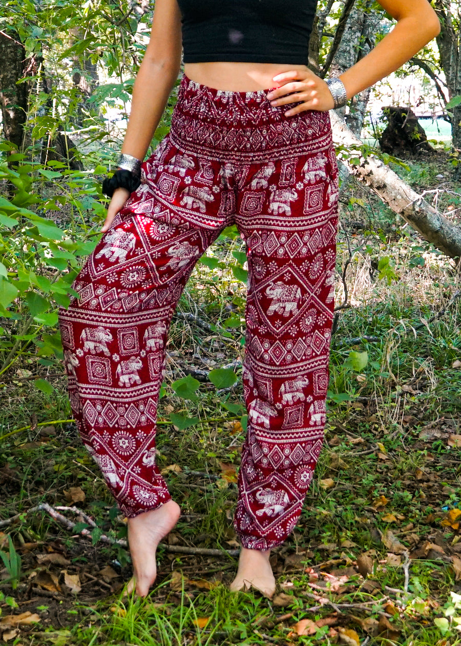 Burgundy Star Elephant Harem Pants