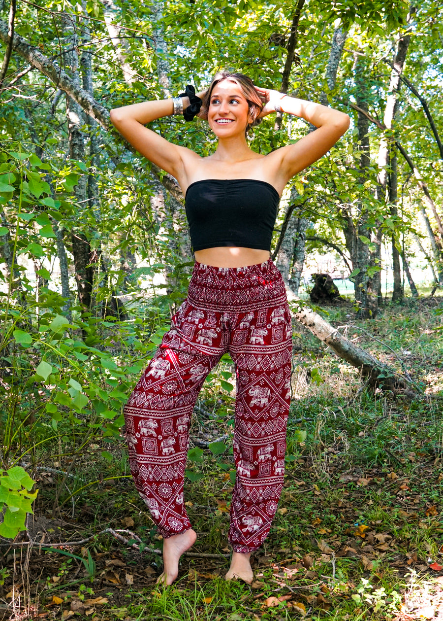 Burgundy Star Elephant Harem Pants