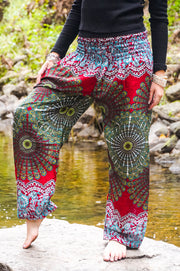 Red Rose  Peacock Tail Harem Pants