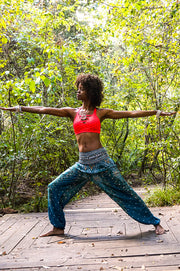 Teal Peacock Harem Pants